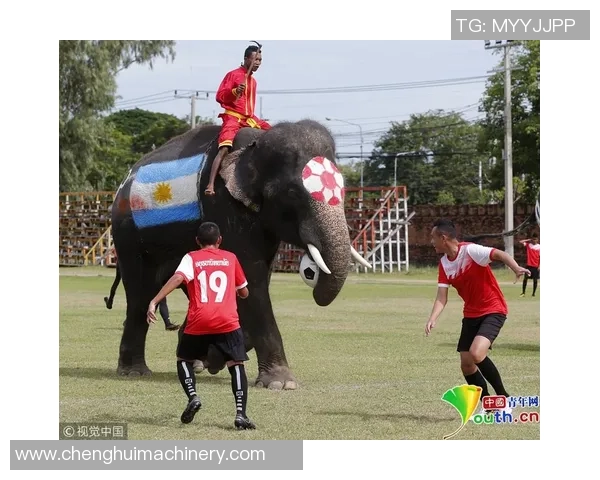当今足球界最强球员是谁谁能称霸绿茵场成为无可匹敌的传奇巨星